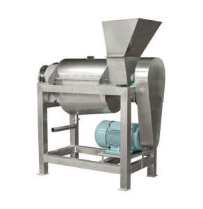 pineapple processing equipment